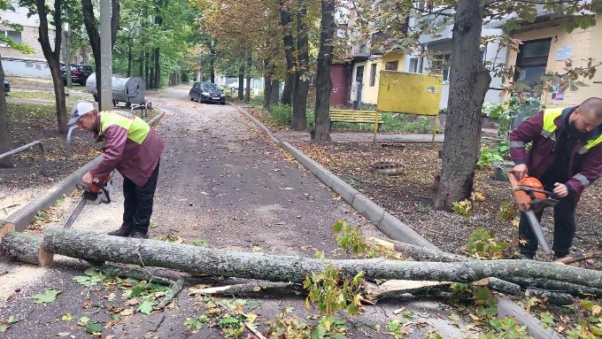 Сильний вітер повалив у Харкові понад 160 дерев, в області без світла 42 тисячі абонентів (фото)